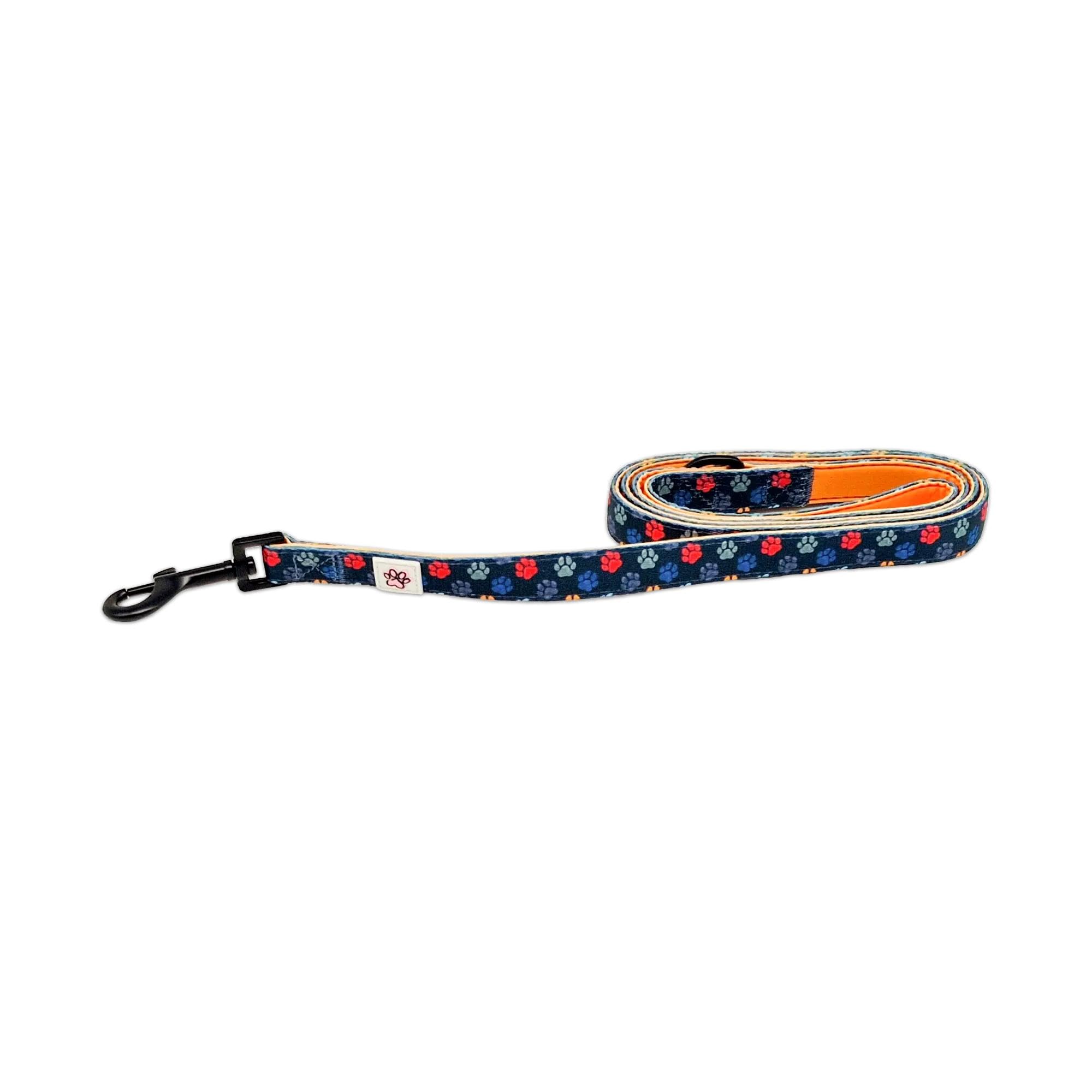 Laisse pour chien motif patte bleue accessoire de promenade Paw My God