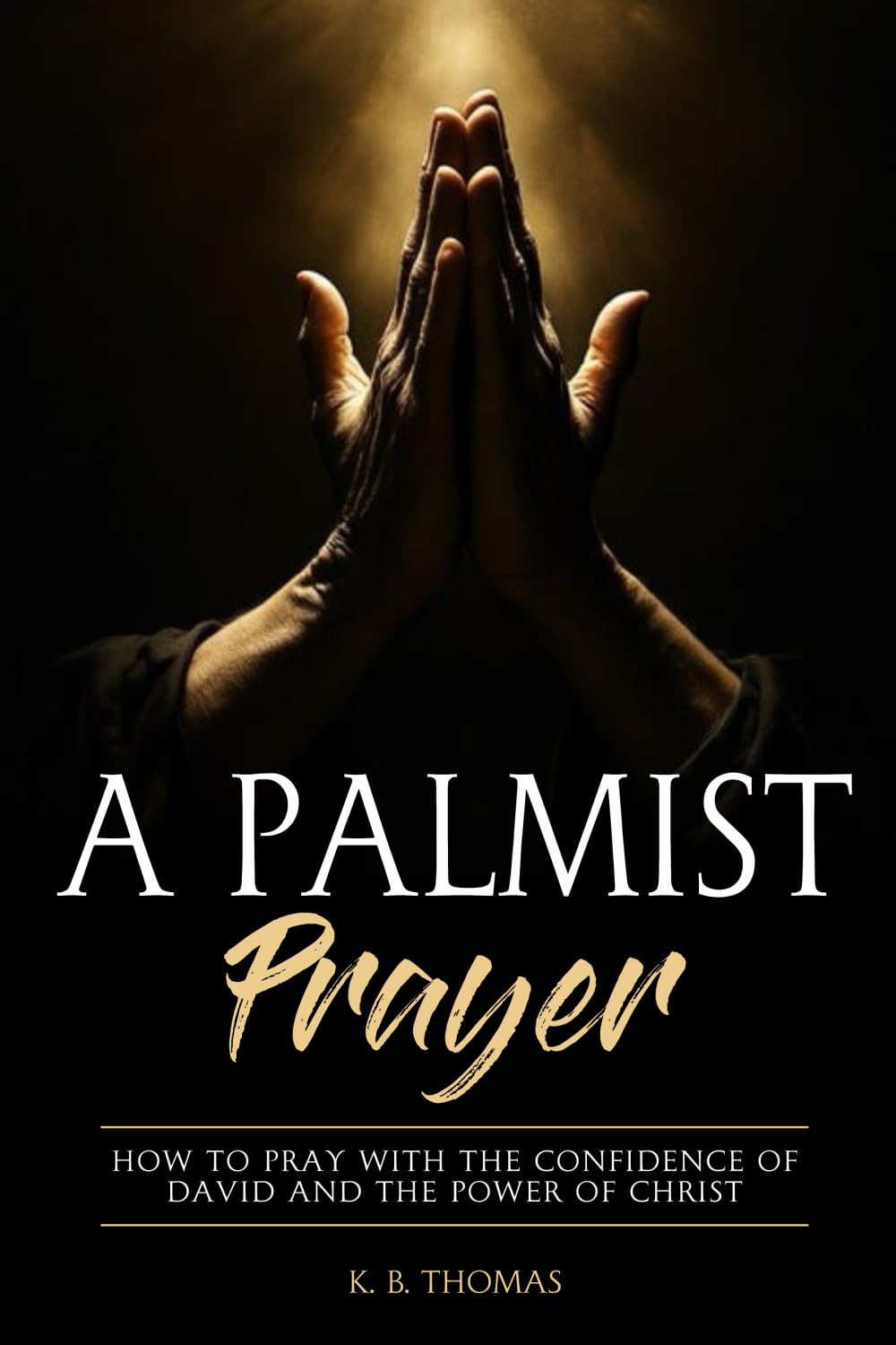 A Palmist Prayer How to Pray with the Confidence of David and the Power of Christ