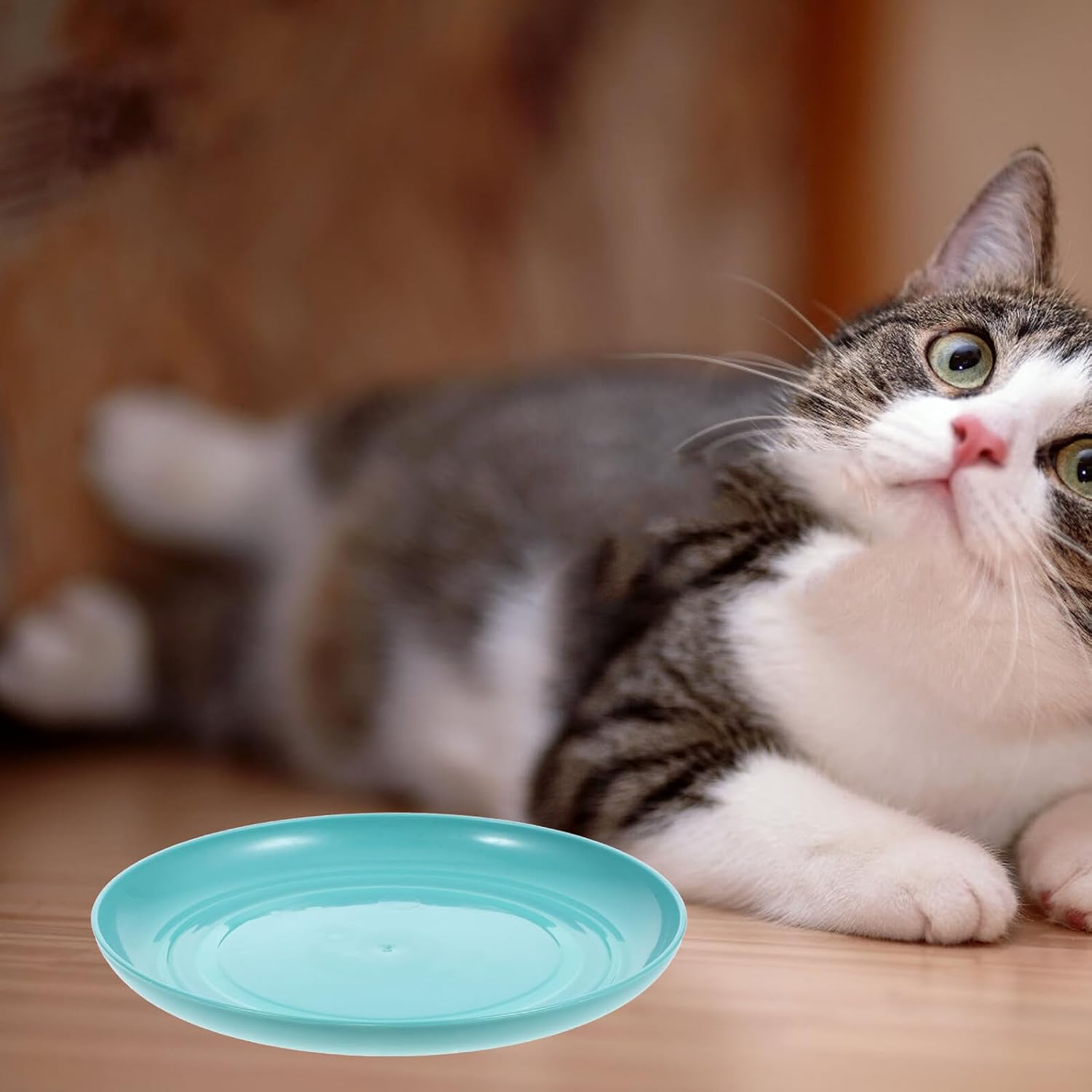 GANAZONO 8pcs Cat Bowls Set Shallow Plastic Pet Feeding Dishes with Base for Small Cats and Short-Legged Kittens Fatigue Relief Food Plates