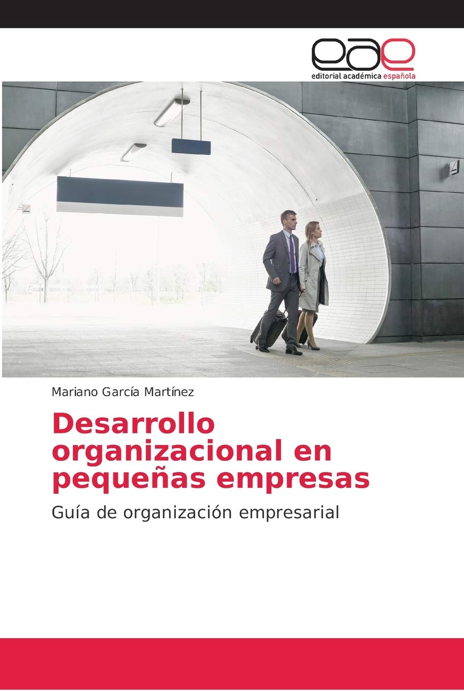 Desarrollo organizacional en pequeñas empresas: Guía de organización empresarial