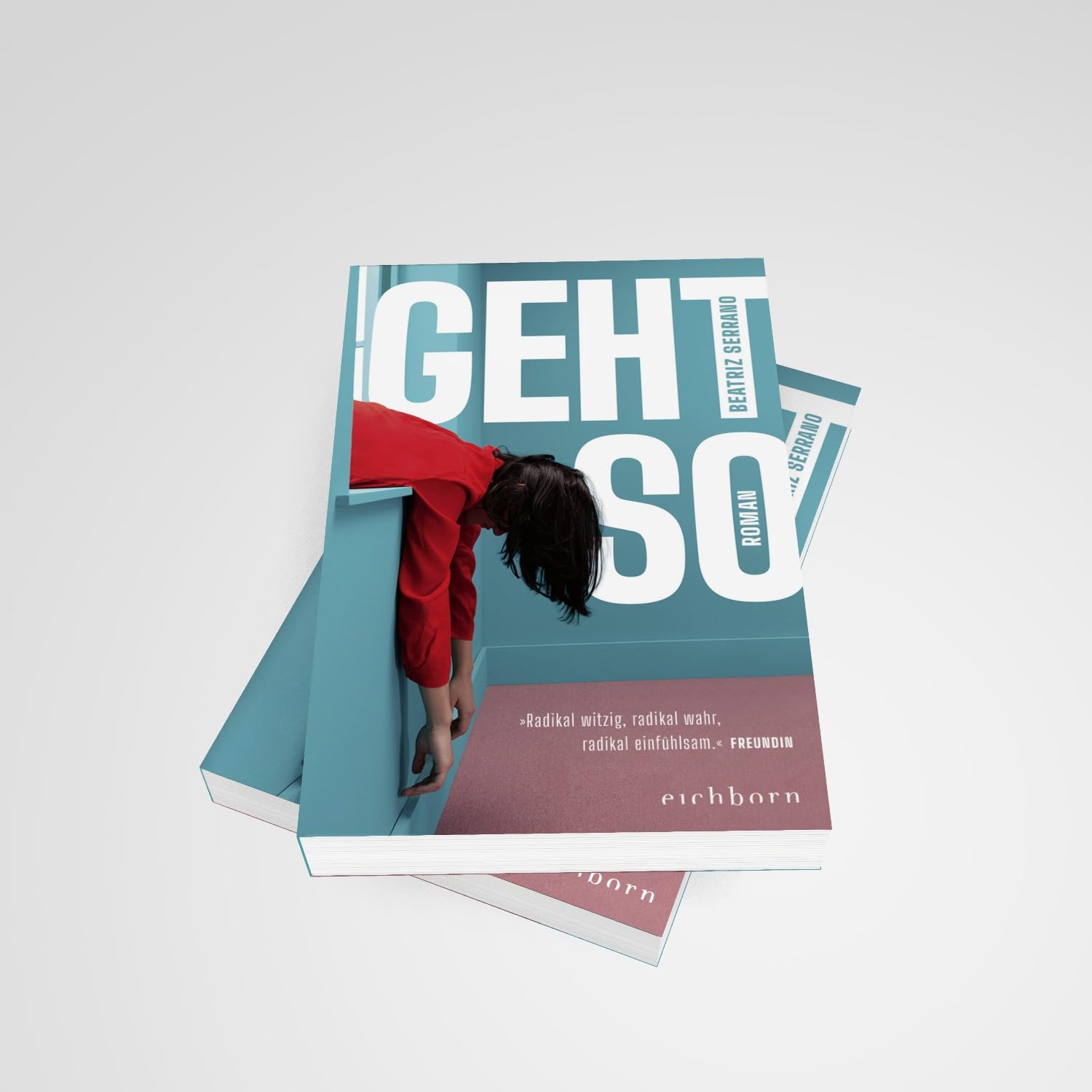 Geht so: Roman. Der große Überraschungserfolg aus Spanien | 'Klug und urkomisch, auch - oder gerade - weil man sich selbst darin wiedererkennt.' ELENA MEDEL
