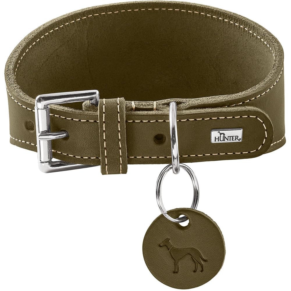 HUNTER Aalborg Greyhound Collar Olive Robust Soft Leather, Ideal for Greyhounds, Pressure-Distributing Design, Gentle on the Larynx, Made in Germany, Size 32