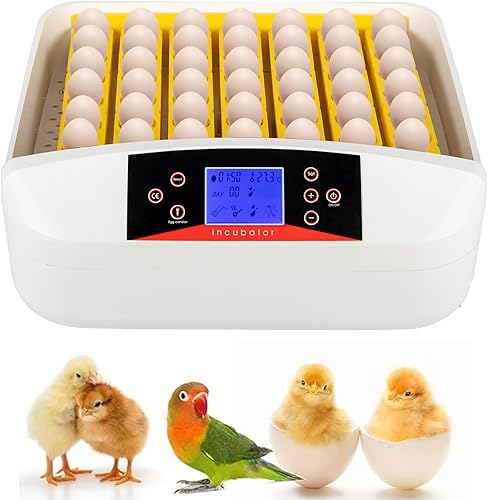 Incubadora de 56 huevos con pantalla de humedad, vela de huevos, girador automático de huevos con control de temperatura, máquina para criar aves de