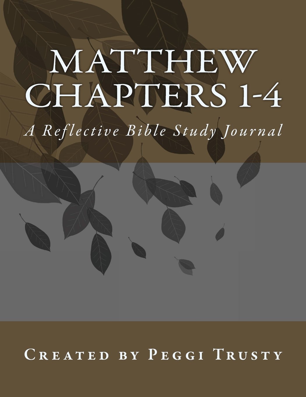 Matthew, Chapters 1-4: A Reflective Bible Study Journal (matthew | the reflective bible study journals)