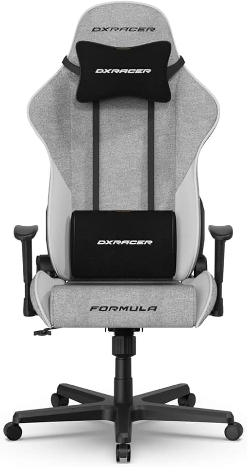 DXRacer Formula L Ergonomic Gaming Chair for Adults, Reclining Video Office Computer Gamer Chair with Lumbar Support and Headrest (Water-Resistant Fabric, Gray White)