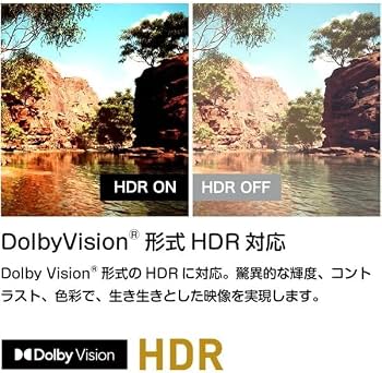 Amazon | ORION OLS65RD10C SMART TV [65V型 地上・BS・110度CS