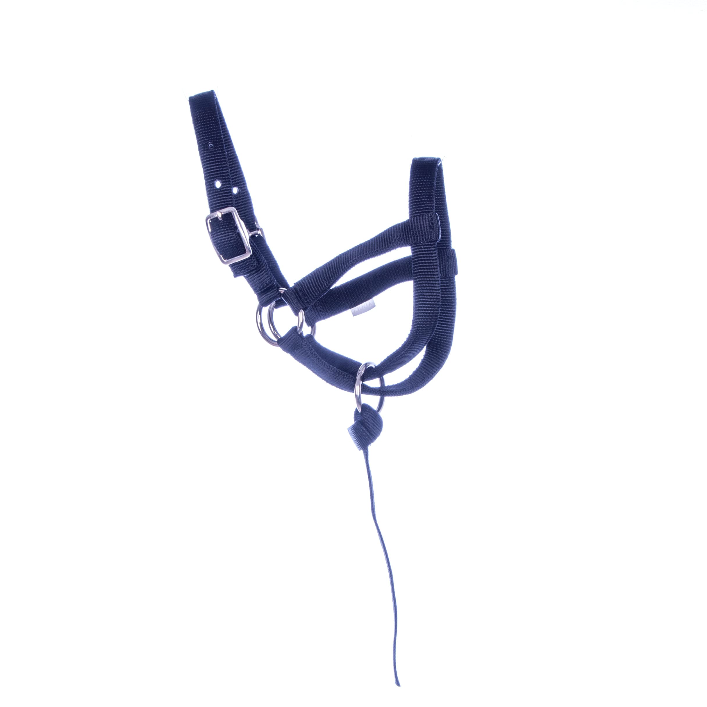 Jeffers Llama Halter - Adult Color: Black