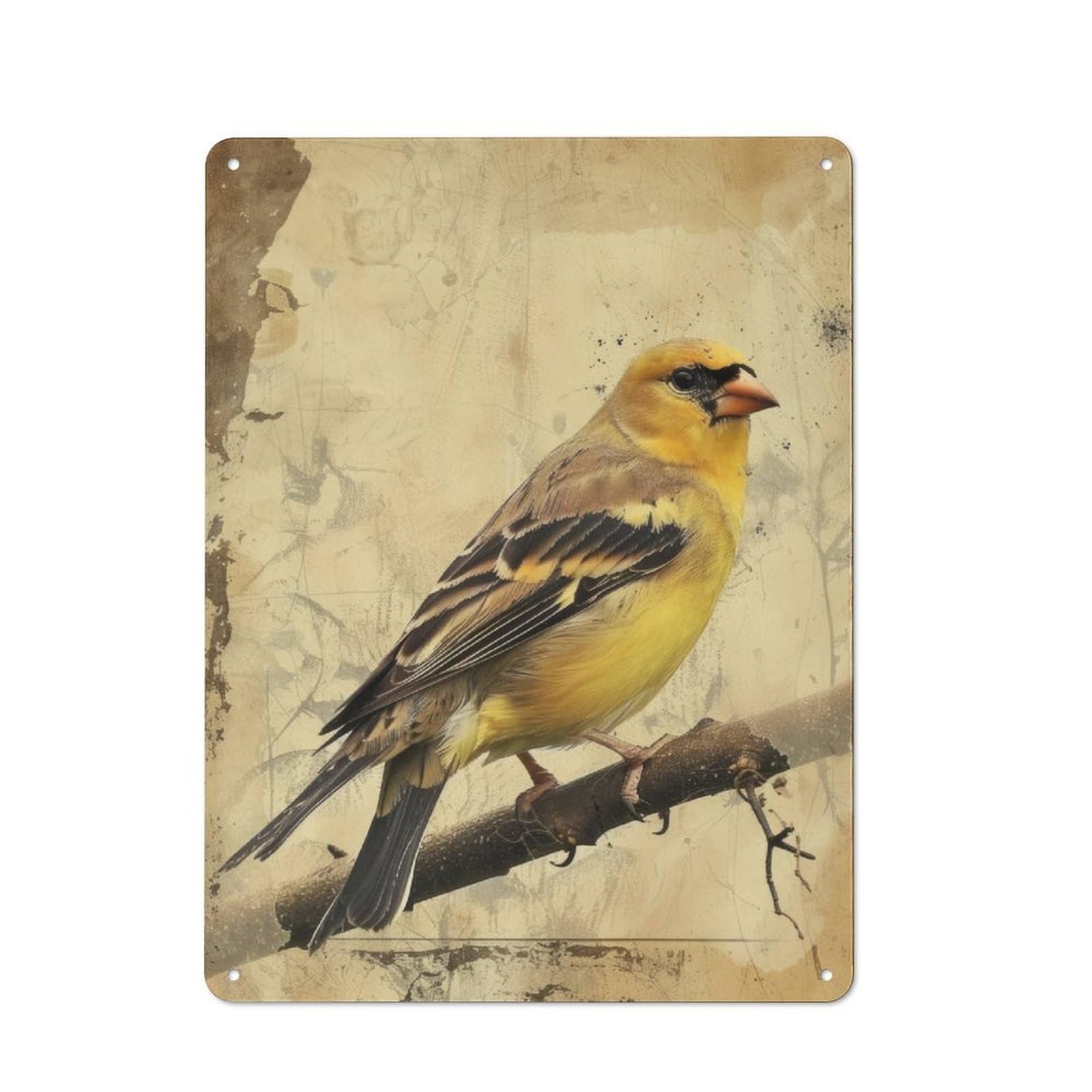 Junmoney Golden Finch Metal Wall Sign 40X30cm Featuring For Living Room Wall, A Decorative Gift For A Newly Furnished Living Room