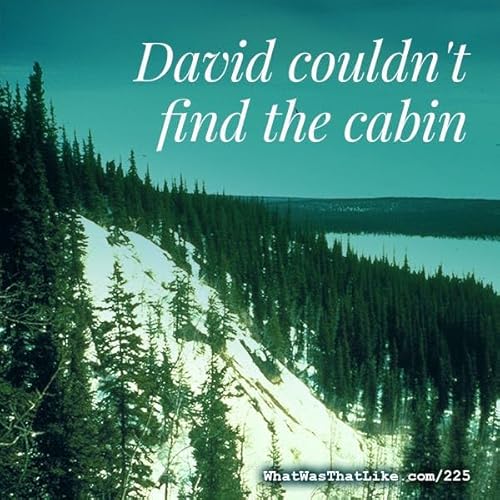 225: David couldn't find the cabin