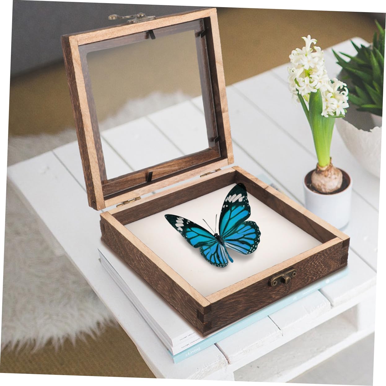 HOODANCOS Wooden Insect Specimen Display Holder Simple Style Pinning Case Portable and Lightweight Display Box