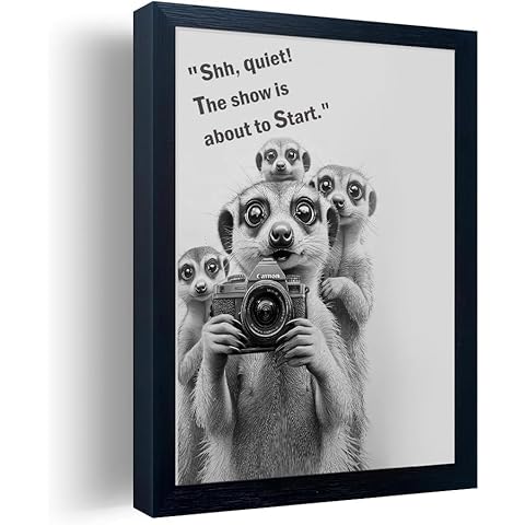 Orvannaatr Frame Bathroom Wall Art, Black and White Meerkat Canvas Wall Art - Meerkat Painting with Camera - for Toilet Bathroom Animal Art- 8