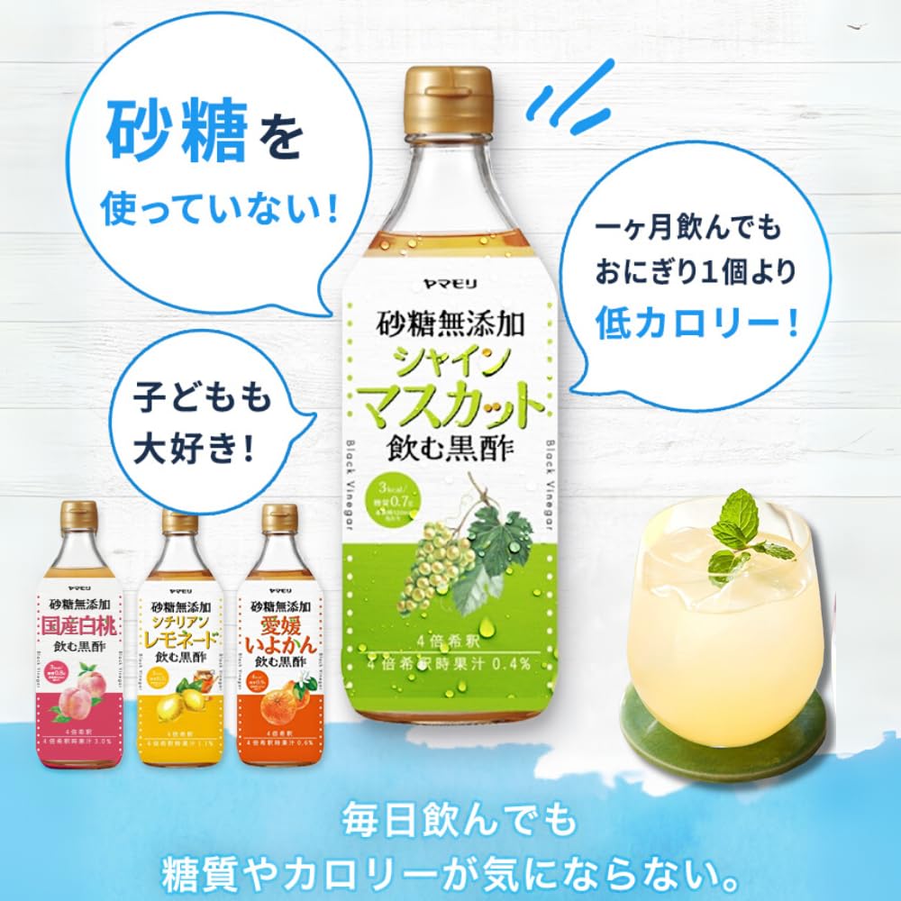 乳酸菌発酵液　3本セット　マスカット味　希釈 マスカット 3本 お酢 紙パック 希釈タイプ 黒酢 酢飲料 乳酸菌発酵液