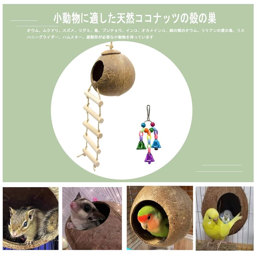 Amazon | 2個セット インコ ケージ おもちゃ 文鳥 止まり木