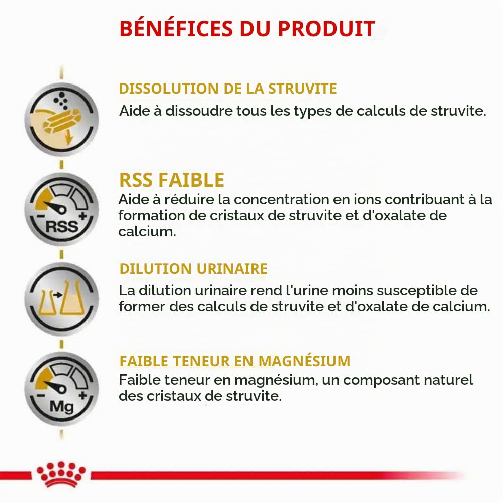 Royal Canin pour Chien Chien 13 kg