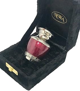 Keepsake Cremation Urn, Funeral Tokens, Ash Urns with Box -Small