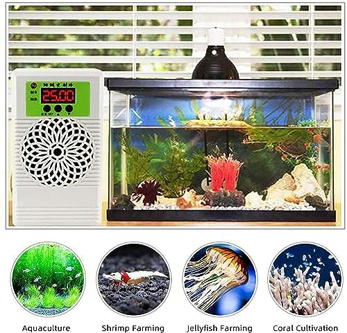 Refroidisseur eau 100W pour aquarium à régulation thermique stable - 3