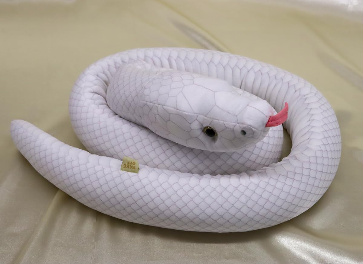 【白蛇企画】 Day 1 Snake Fang !! Distribution of lottery tickets will
