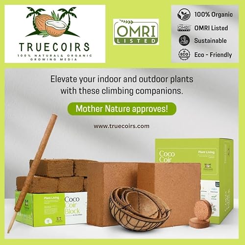 Miniatura 9 de Pellets de iniciación de semillas de coco orgánico de 3.937 in, tapones de inicio, pellets de tierra para macetas, 25 piezas, solo agrega agua,