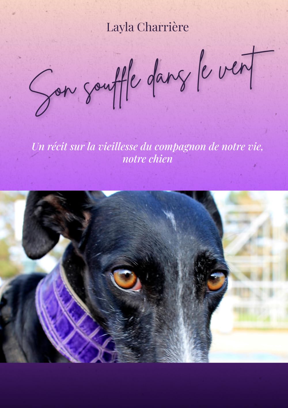 Son souffle dans le vent: Un récit sur la vieillesse du compagnon de notre vie, notre chien.
