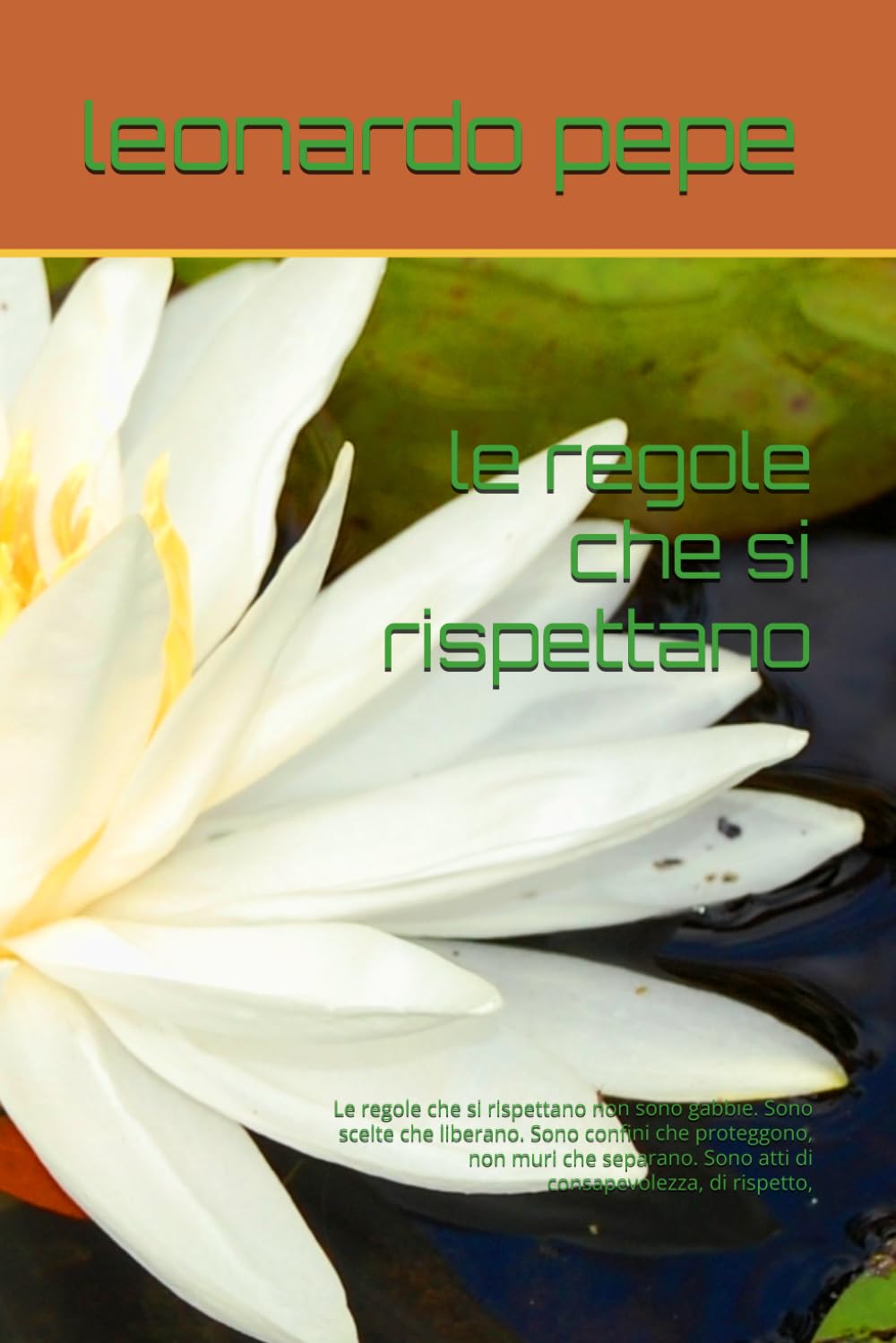 le regole che si rispettano: Le regole che si rispettano non sono gabbie. Sono scelte che liberano. Sono confini che proteggono, non muri che separano. Sono atti di consapevolezza, di rispetto,