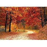 ポスター シール式ステッカー 841×1189㎜ A0 紅葉 秋 写真 フォト 壁 壁紙 インテリア おしゃれ 剥がせる 飾り ウォールステッカー igsticker wall sticker poster 023727