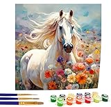 Bimkole Paint by Number for Adults, Horse DIY Oil Painting Kit on Canvas with Paintbrushes and Acrylic Pigment, Perfect for Paint by Numbers for Adults Beginner, for Home Wall Decor 20x20 Inch