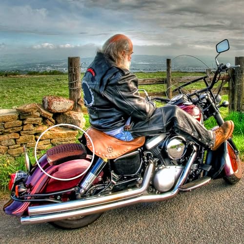 Image of Motorcycle Pillion Passenger Pad Seat, Brown Crocodile Leather Pillion Pad w / 8 Suction Cup Rear Passenger Seat Compatible with Harley Custom Bikes and More