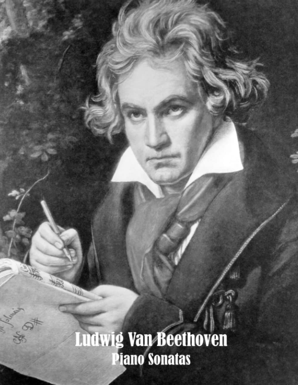 Ludwig van Beethoven Piano Sonatas: Included History & Biography (Illustrated)