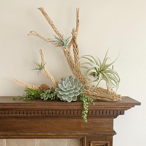 Miniatura 5 de Koyal Wholesale 24 pulgadas de madera cholla acuario leopardo Gecko tanque accesorios sin tratar grande madera flotante para acuario madera ermitaño