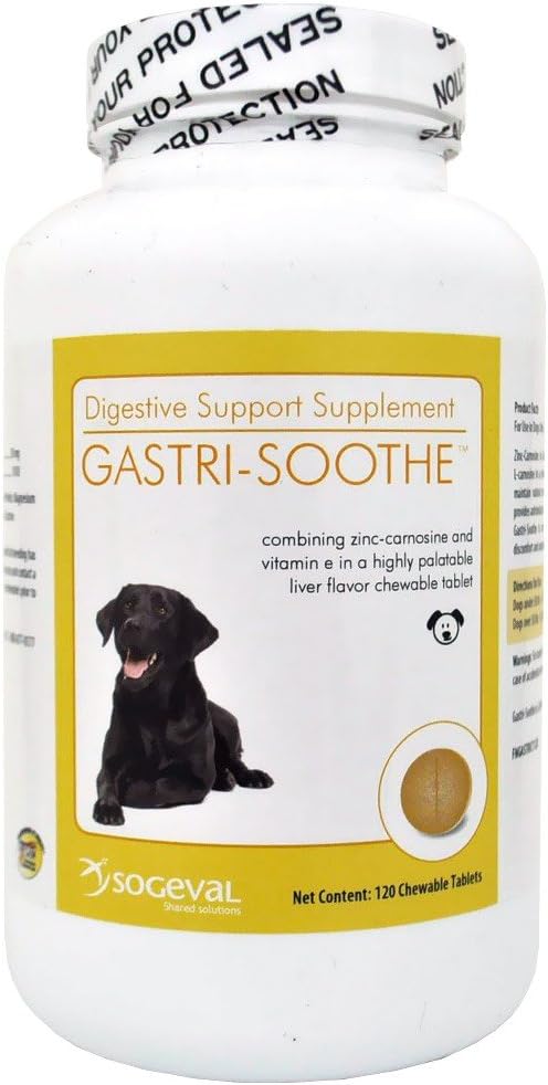 MFR DISCONTINUED 081816 Sogeval GastriSoothe (120 chewable tablets)