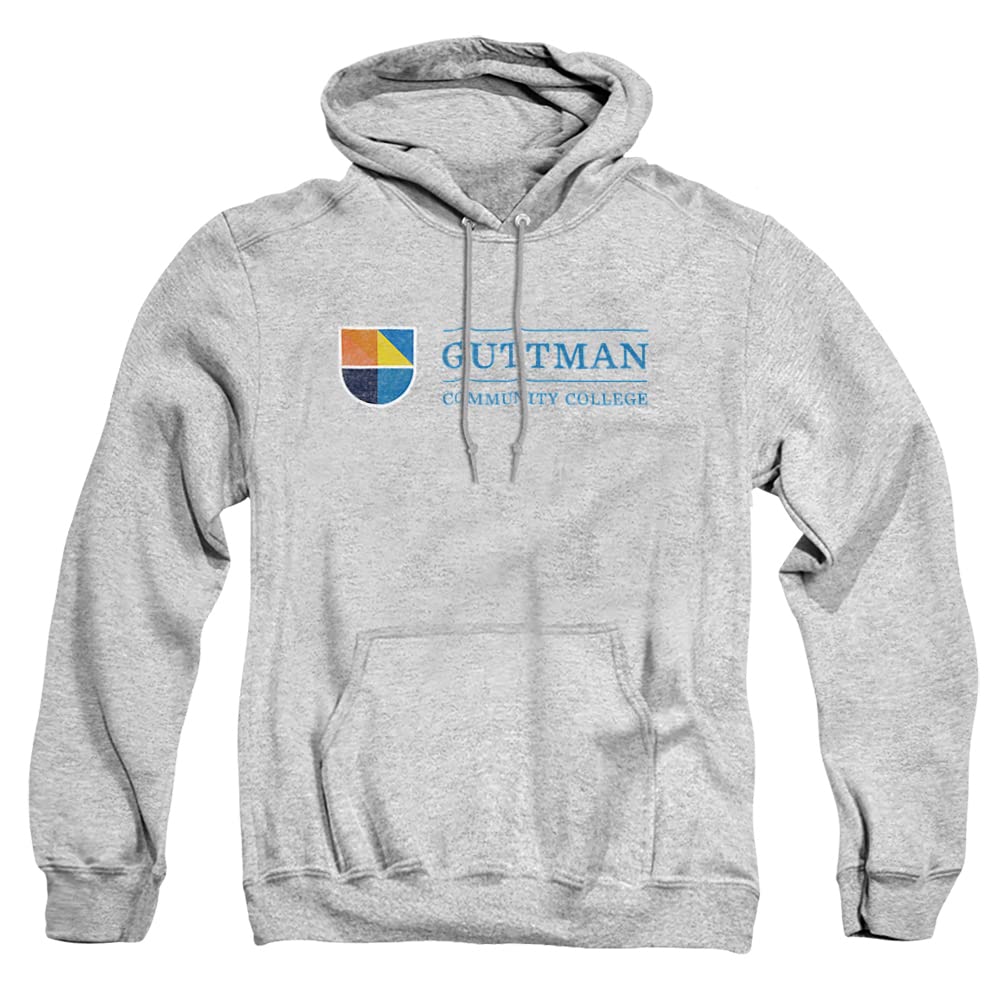LOGOVISION Official Collegiate Distressed Primary Logo Adult Pullover Hoodie Collection — view 504