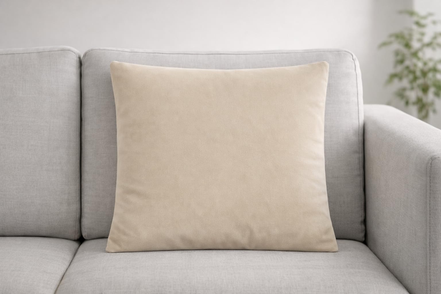 Seechoo Velvet Cushion Covers Pack of 2, Large 55x55cm (22x22 Inch), Soft Luxury Velvet Sofa Cushion Covers, Decorative Throw Pillow Covers for Living Room Bedroom (Beige) — image 1
