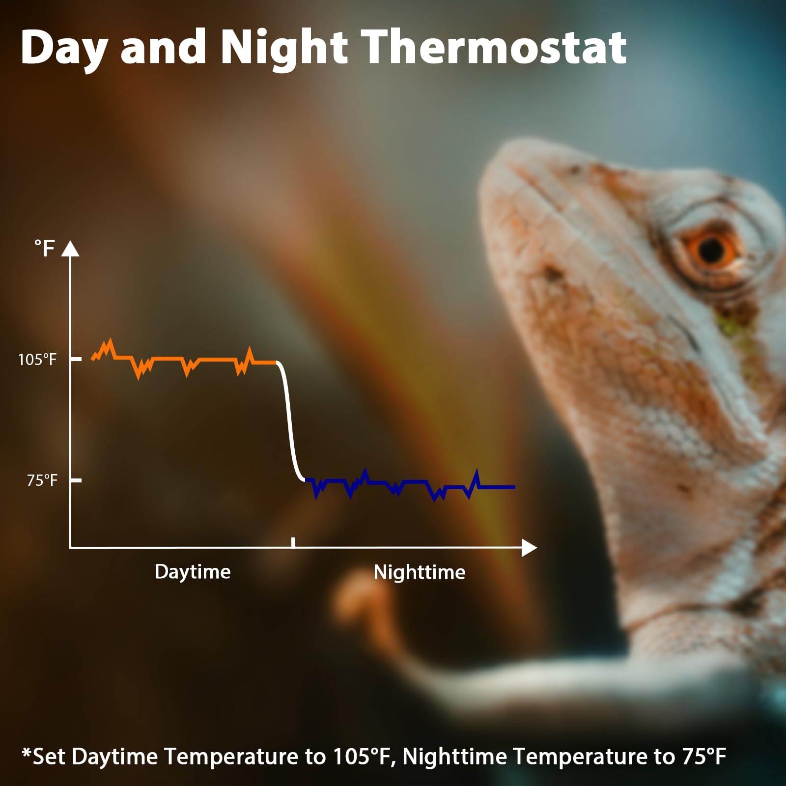 Reptilien-Dimm-Thermostat, einstellbare Tag- und Nachttemperatur, Reptilien-Wärmelampe, PID-Temperatur-Treiber, Memory-Funktion, ℉/℃