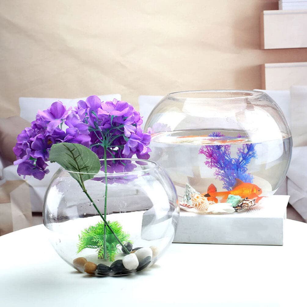 Terrariums de Réservoir de Poissons en Verre Récipient Transparent Décoration de Bureau Bol Rond Affichage Hydroponique Globe Bol Décoratif Poisson Rouge