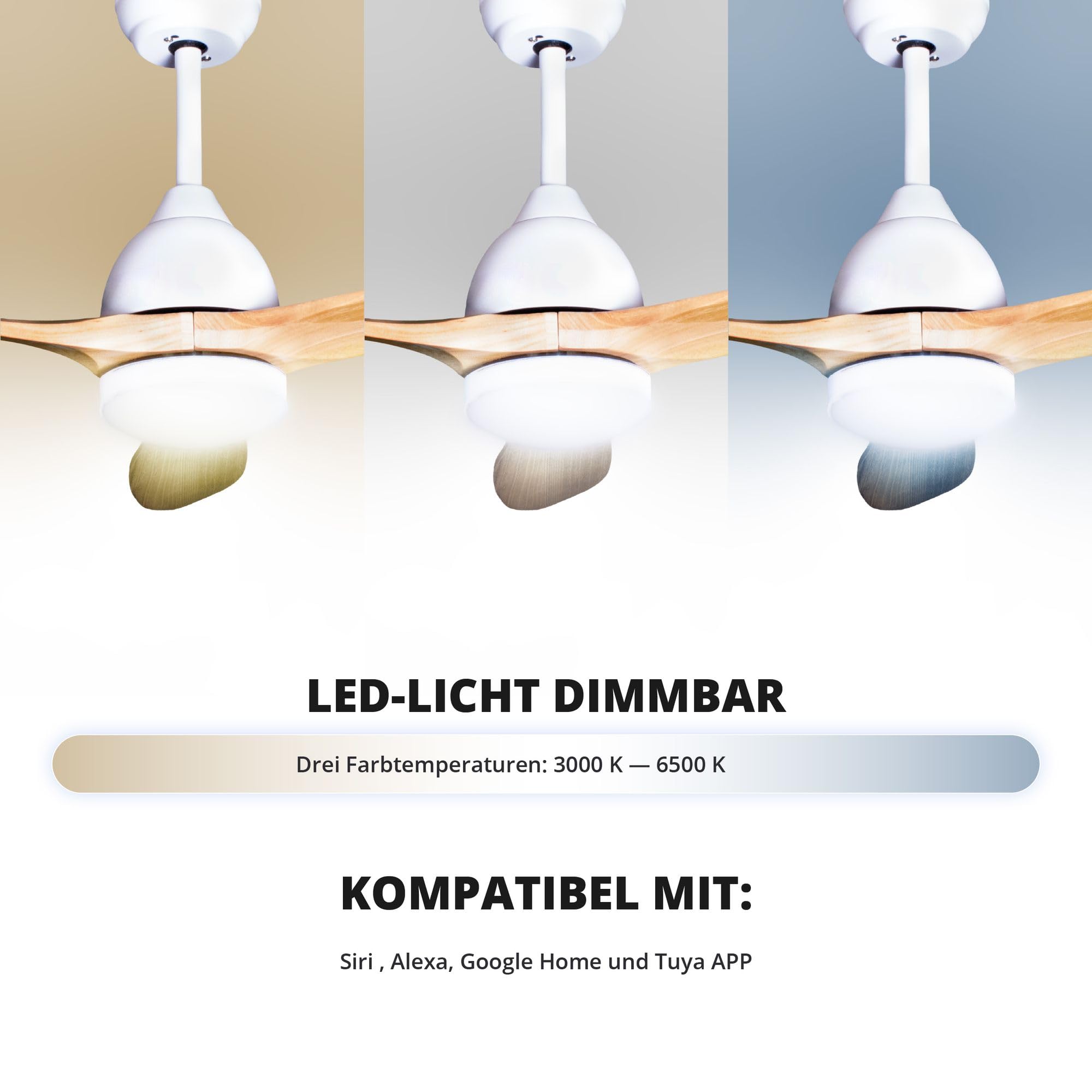 Eclipse Deckenventilator mit Beleuchtung, Leise mit 6 Windstufen, App und Fernbedienung, Sommer und Wintermodus, 3 Holz- Rotorblätter, 4500 m³/h, CTT 3000 K - 6500 K, Modell: Airora XL