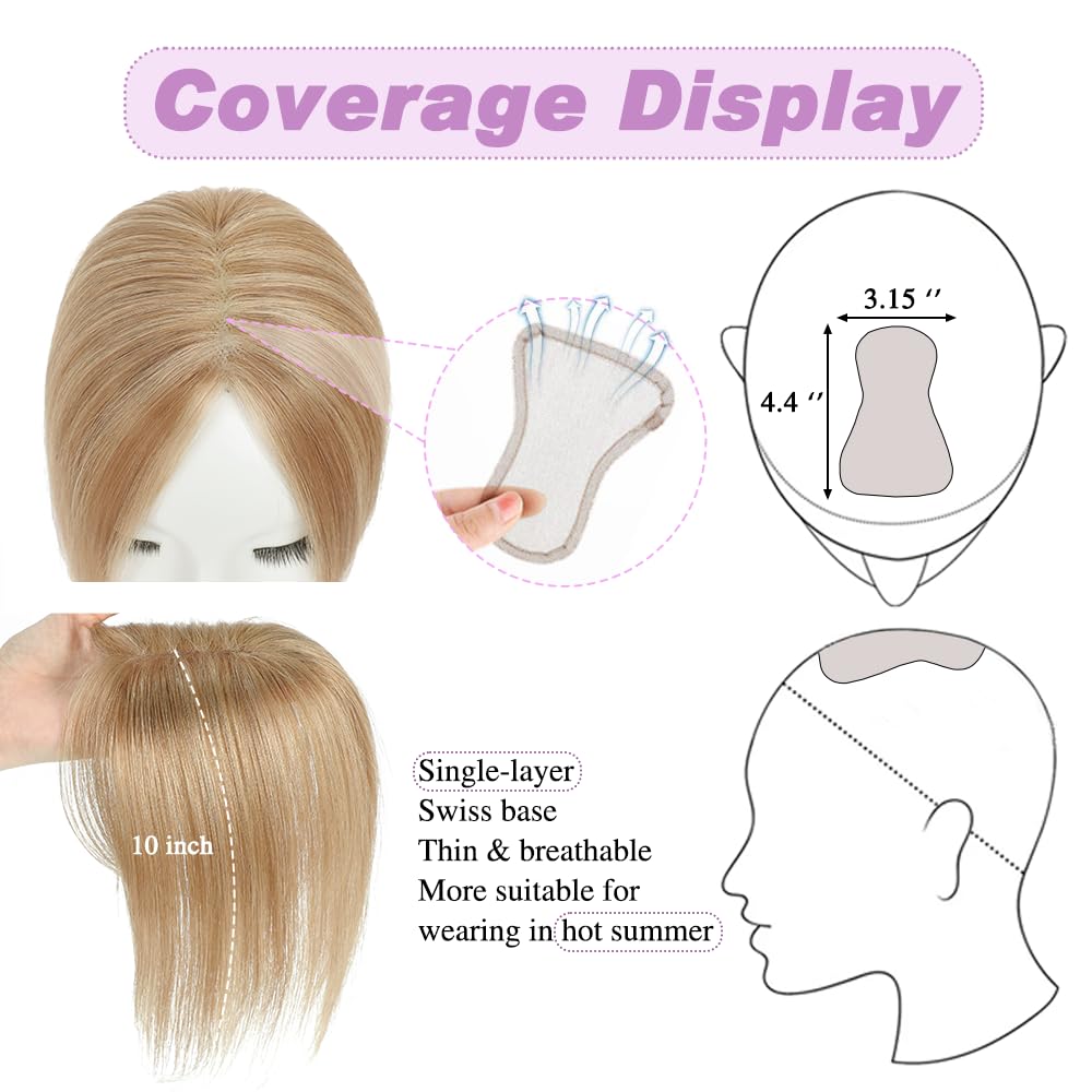 Haaraufsätze für Frauen Echthaar-Clip-In 25,4 cm Schweizer Basis Haarteile für dünnes Haar, Haarverlust-Abdeckung (Aschbraun mit Blond)#1016