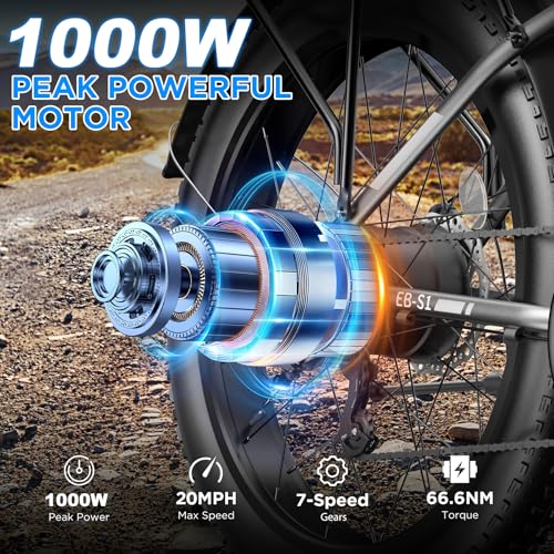 Funhang 1000W Electric Fat Tire Ebike
