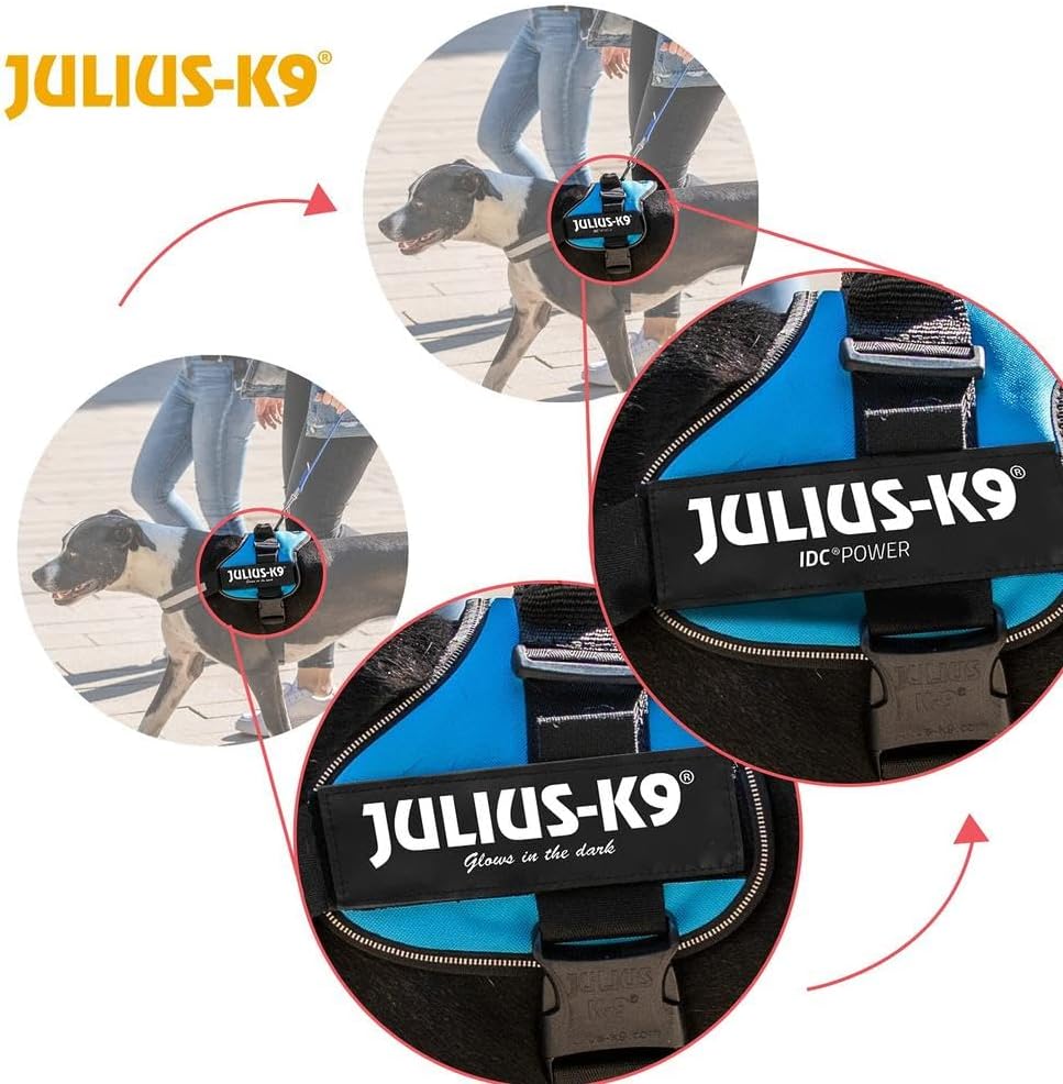 Julius-K9 Powerharness, baby 1, blue-sky