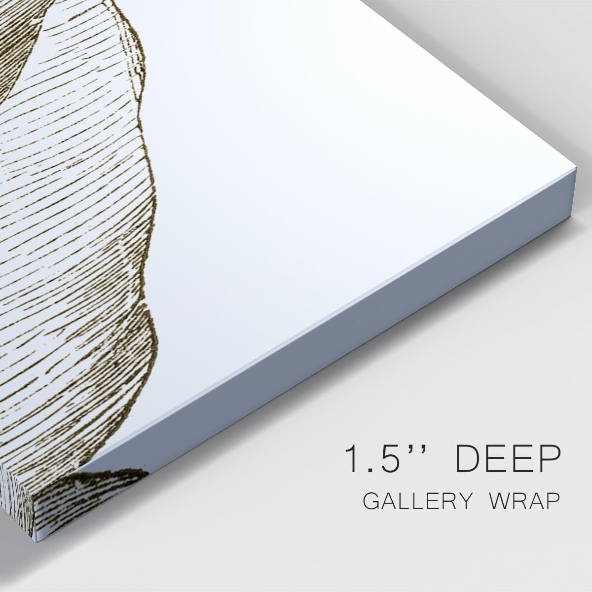 Renditions Gallery Canvas Floral Wall Art Modern Paintings Decorations Vintage Romantic Leaf Abstract Black & White Botanical Wall Hanging Artwork for Office Bedroom Kitchen - 12"x24" LT517