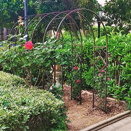 Arche pour plantes grimpantes stable contre le vent noir - 3