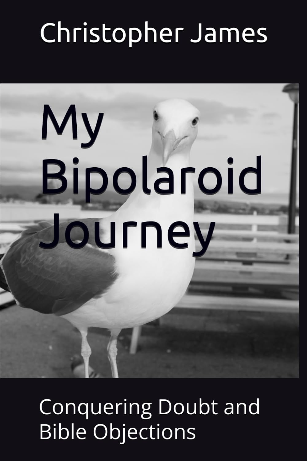 My Bipolaroid Journey: Conquering Doubt and Bible Objections