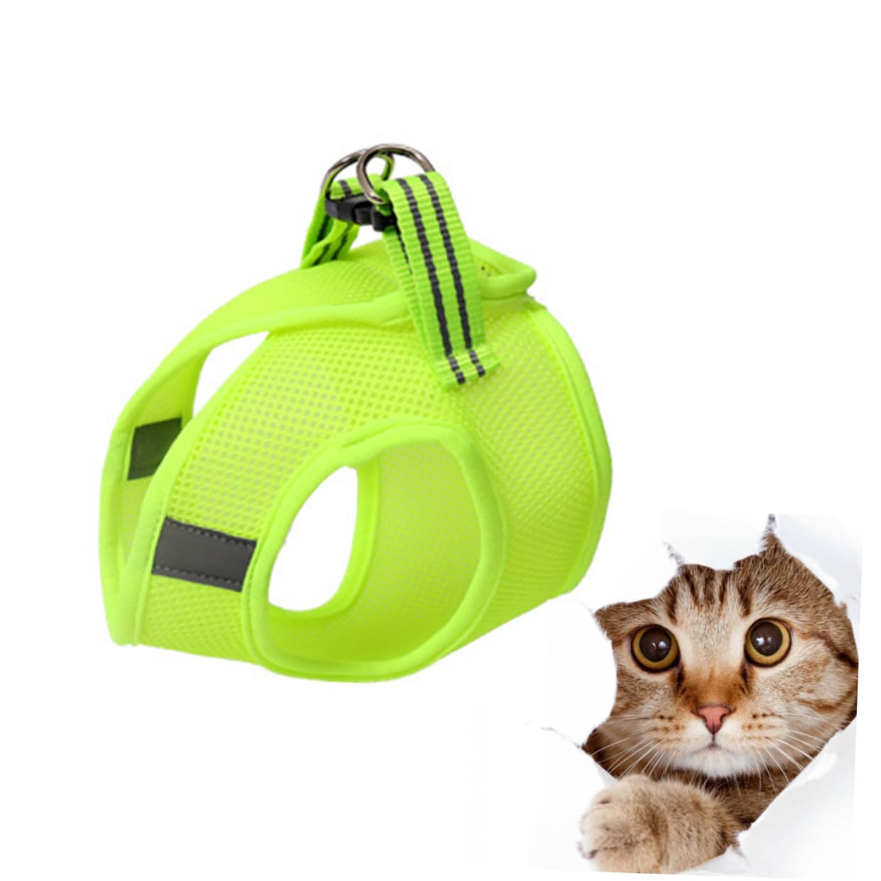 Amosfun 3stücke Katzen-Geschirr Für Haustiere Atmungsaktiv Und Leicht Kreative Brustgeschirre Für Katzen Fruchtgrün Xs Für Sicheres Gassigehen Und Komfortable Tragbarkeit