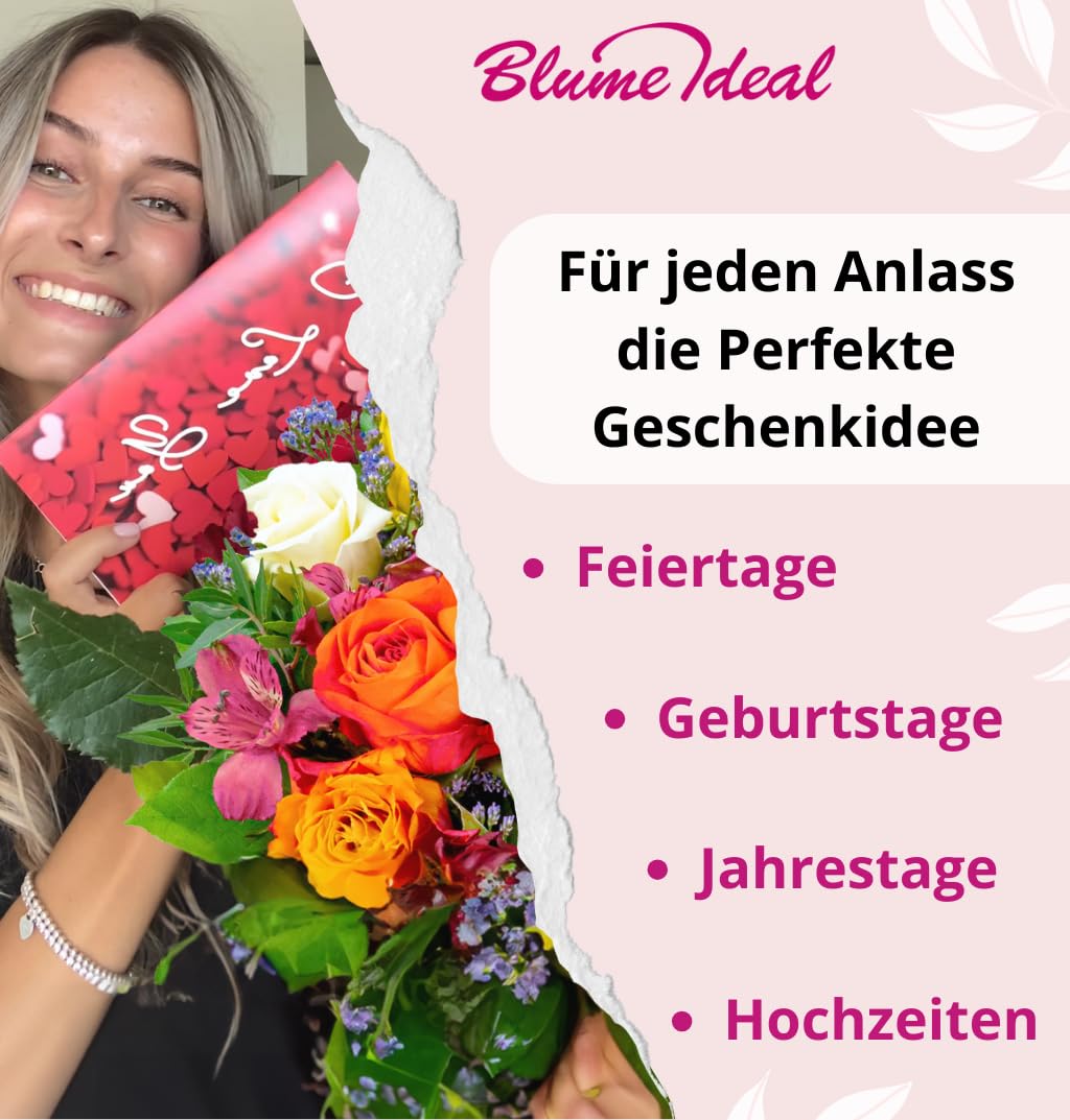 Blume Ideal Bukiet róż "Zorza polarna", 60 czerwono-białych róż, Ø 40-50 cm, najwyższa jakość, 7-dniowa świeżości, idealny prezent kwiatowy