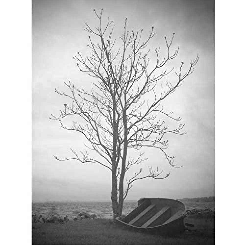 Artery8 Lone Tree Silhouette Greyscale Photo Unframed Wall Art Print Poster Home Decor Premium
