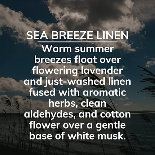 Miniatura 4 de Citrus Magic On The Go - Ambientador sólido absorbente de olores, Sea Breeze Linen, 8 onzas, paquete de 2