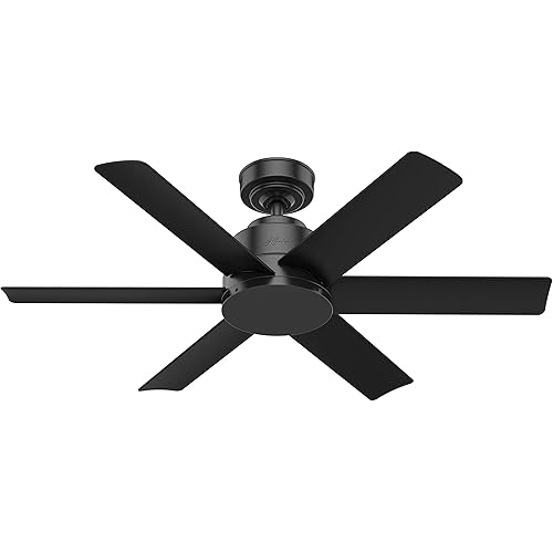 Hunter Fan Company 59613 Hunter Kennicott Indoor, Outdoor Ceiling Fan with Wall Control, 44, Matte Black Finish