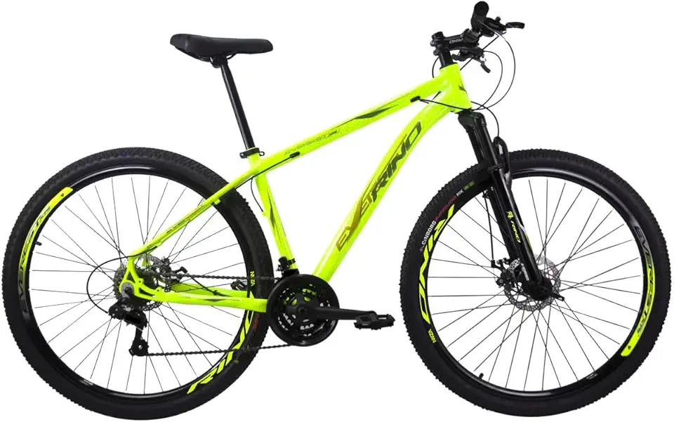 BICICLETA ARO 29 RINO EVEREST 24V - CAMBIOS INDEX