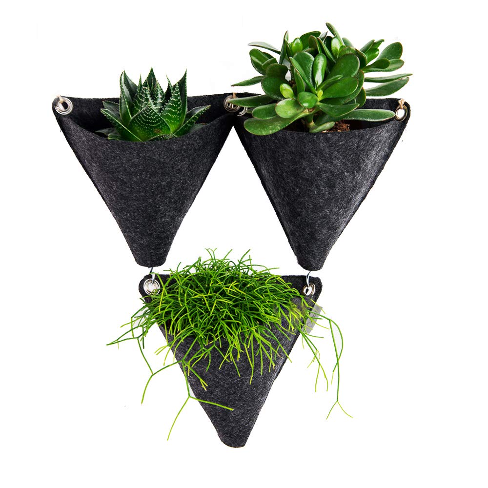EQUA EH TNG1 Tangram, Sustainable Gardening Pots, Natural Materials (Felter and Wood), Black, 11x18x18
