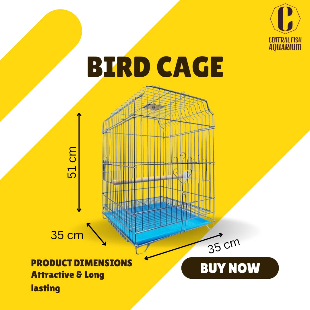 CENTRAL FISH AQUARIUM Metal 13.5" Zinc Bird Cage For Cocktail, Parrot,Cuttlefish Bone Holder,With Cuttlefish Bone, 2Cups,1Perch Stick L:13.5", B:13.5", H:20" - (Colors May Vary) Small 4
