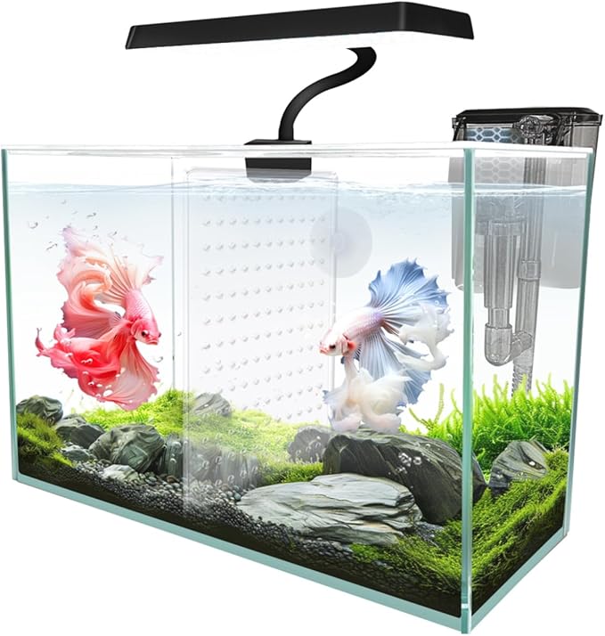 iPriro 3 Gallon Fish Nano Glass Aquarium, with Separator